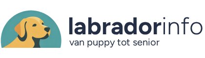 Labrador Info